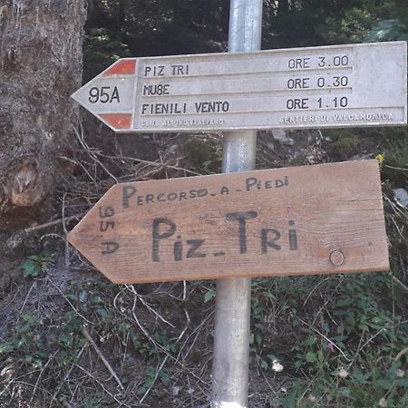 Casa Vacanza Pineta Malonno エクステリア 写真