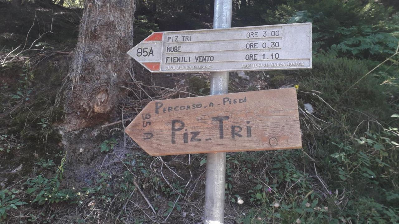 Casa Vacanza Pineta Malonno エクステリア 写真