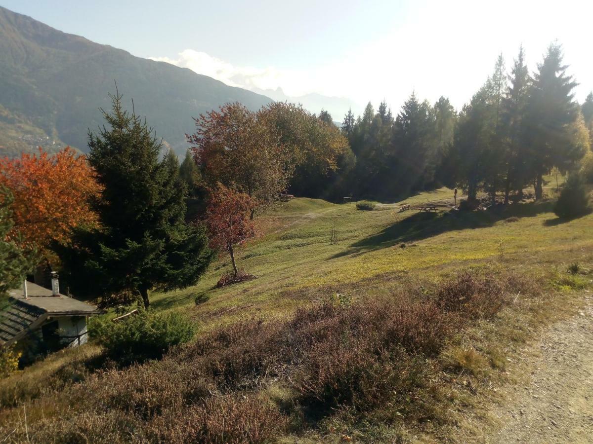 Casa Vacanza Pineta Malonno エクステリア 写真